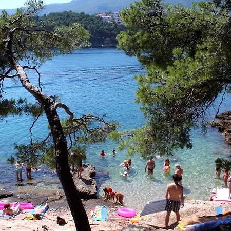 Seaside With A Swimming Pool Jelsa, Hvar - 2067 * Jelsa (Hvar)